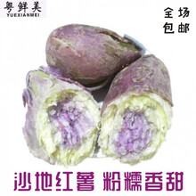 老农夫 【高州坡地番薯】新鲜冰淇淋红薯粉糯香甜板栗花心薯粉番薯一点红 2斤中薯冰淇淋【净重2斤】