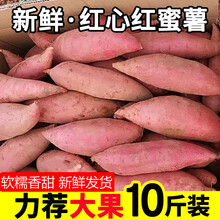 2021现挖新鲜红薯10斤红蜜薯甜心板栗薯地瓜糖心山芋农家沙地番薯 5斤 大果