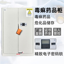 正龙之星 毒麻药品柜实验室医院化学品易制毒品柜工厂工业安全药品柜 560*430*460(4加仑)