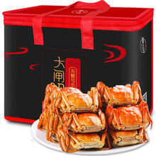【活蟹】隆上记 鲜活大闸蟹 2.0-2.3两/只 10只装 现货实物 螃蟹礼盒 活鲜海鲜水产