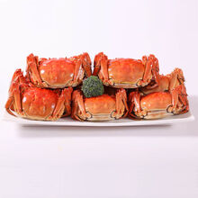 【活蟹】大闸蟹鲜活螃蟹活体特大现货礼盒海鲜水产蟹类 惟纳德 (全母2.8-2.3两)8只