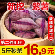 农家紫薯新鲜地瓜小香薯香芋软糯香甜毛重 5斤中小薯
