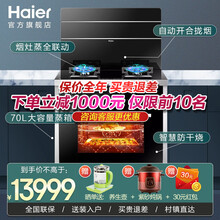海尔（Haier）集成灶烟灶蒸箱一体智能预约 大吸力侧吸抽油烟机防干烧大火力燃气灶具蒸箱烤箱免费安装 【烟灶蒸一体机】大吸力烟机+防干烧灶具+70L蒸箱
