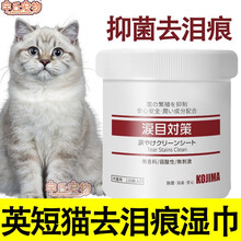 宠物英短猫专用泪痕眼部清洁湿巾去泪痕猫湿巾神器擦除泪痕猫咪擦眼睛 去泪痕湿巾两盒
