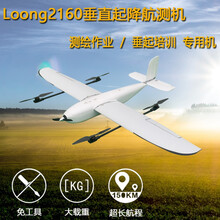 飞龙2160垂直起降 Vtol 航测机 T尾4+1 固定翼  测绘无人机空机 垂臂快拆件