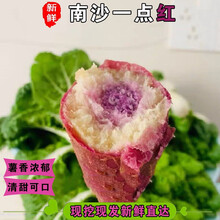 （现挖现发）广州南沙一点红 万顷沙新垦小香薯番薯地瓜软糯 5斤 严选精品果