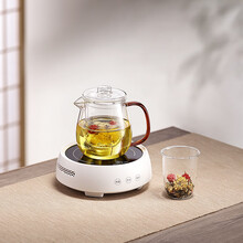 诺洁仕(LOCUS)养生壶煮茶器迷你电陶炉分体式家用多功能烧水小型办公室蒸煮泡茶玻璃壶套装 雅致白茶炉底座+单把手玻璃壶001款