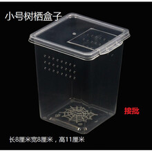 爬虫爬宠饲养盒箱子高透明亚克力缸柜一体树栖角蛙乌龟蜥蜴饲养盒 2个小号树栖盒