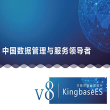人大金仓 数据库管理系统KingbaseES V8.0