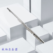长笛儿童学生镀银长笛16孔C调带E键XF-100 xF-200型 17孔开孔长笛