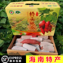 【顺丰】海南桥头富硒地瓜新鲜粗粮特产粉糯板栗红薯番薯地瓜现挖发货送礼佳品礼品礼盒装 9斤精品礼盒装