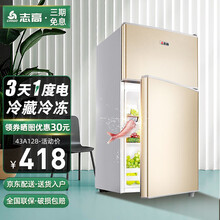 志高（CHIGO）冰箱双门迷你小型电冰箱 家用租房冷藏冷冻 节能低噪 43L香槟金【1-2人使用】