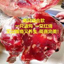 甲鱼现杀批发外塘生态老鳖食用王八真空包装新鲜去皮去膜去油 2.3-2.6斤两只组合4人餐 宰杀去膜去内脏去油脂封包后上称的重量