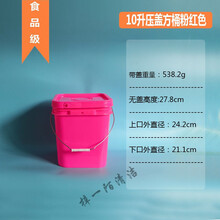 方桶塑料桶水桶食品桶包装桶酱料桶    BOUSSAC 10升 纯新料 压盖方桶(粉色)