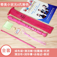 杉贝 SHANBEI 奇美高音德式G八孔六孔竖笛8孔小学生初学入门乐器6孔儿童C调笛子抖音同款 小状元粉色6孔标配+擦琴布+吹奏说明+绒布袋