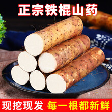 铁棍山药 新鲜现挖山药蔬菜 5斤优选