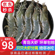 【已通过核酸检测】渔吻 青岛新鲜海捕大虾4斤装鲜活冷冻青虾基围虾对虾海虾国产生鲜虾类海鲜(净虾3斤) 60/70 3斤/盒 9-10cm