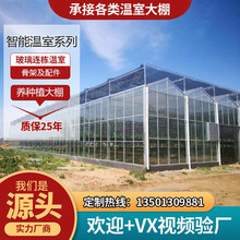 鲸榜智能玻璃连栋联体PC阳光板纹洛式温室电机自动遮阳配件设备养殖种植农业用蔬菜草莓大棚钢管热镀锌骨架 申经理热线13501309881