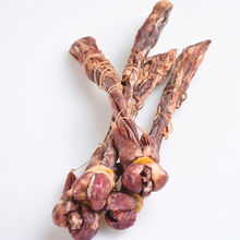 海狗鞭鹿鞭狗鞭泡酒的药材煲汤料泡酒料男性材整根 【足30克大海狗鞭1根】