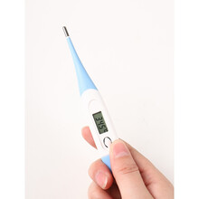 宠物猫咪狗狗温度计兽用肛门电子体温表猫咪小狗测体温