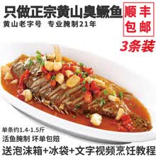 老徽乡正宗安徽臭鳜鱼黄山臭桂鱼净膛1.4-1.5斤3条装徽州美食臭鲑鱼