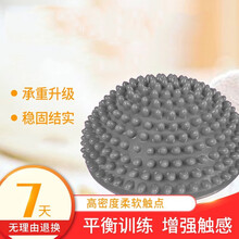 触觉刷按摩榴莲球平衡前庭感统失调训练器材儿童早教家用教具全套 榴莲球银