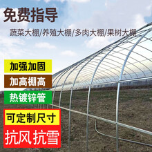 大棚骨架连体栋大棚蔬菜大棚地插式养殖大棚简易钢管大棚多肉大棚 8米宽10米长(标配)