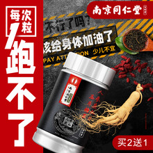 南京同仁堂人参鹿血片可配温阳滋补延时持久硬勃起无力增大增粗玛咖片玛卡牡蛎片海狗丸阳韦成人口服速效产品 买二 送 一【共三瓶】