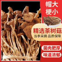 喜食锦茶树菇180g干货煲汤火锅蘑菇食材可搭榛蘑姬松茸虫草花猴头菇材料