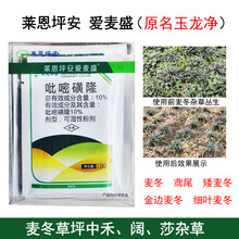 坪安玉龙净爱麦盛日本矮麦冬除草剂玉龙草鸢尾草坪专用除阔叶尖叶 65ml