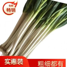 超值10斤大葱批发山东铁杆大葱新鲜蔬菜生吃香葱绿葱3斤5斤 【去皮】去半叶【实惠装】净重5斤