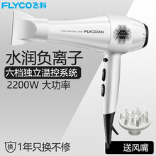 飞科（FLYCO）电吹风2200W大功率负离子吹风筒家用旅行吹风机冷热理发店发廊专用 飞科白色2200W大功率