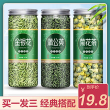 金银花菊花蒲公英茶组合凉茶胎菊金银花干杭白菊非特级泡水茶叶男女 【1罐】蒲公英