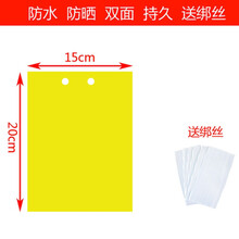 黄板双面粘虫板诱虫板纸贴诱捕器粘板黄色灭小飞虫沾果蝇果园大棚 黄色覆膜20X15(100张)送10张