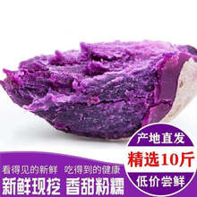 【粉糯香甜 】沙地紫薯新鲜地瓜现挖番薯3/5/9斤 沙地小紫薯【5斤装】