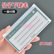 下睫毛假睫毛女自然分段式仿真眼睫毛朵毛单簇嫁接睫毛超自然已剪 6mm