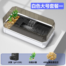 金利佳（Jeneca）养乌龟大号专用缸龟箱带排水饲养箱家用巴西乌龟带晒台造景别墅生态缸 白色大号套餐一【水泵+造景礼包】