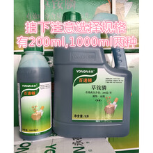 永农百速顿20%草铵膦草铵磷草胺磷 果园牛筋草小飞蓬除草剂烂根草 200ml