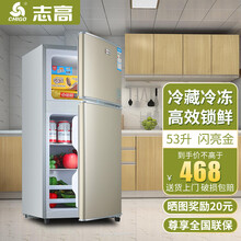 志高（CHIGO）冰箱小型双门 迷你小冰箱家用宿舍冷藏冷冻 节能电冰箱送货上门 【小巧不占地 三天约一度电】53升 闪亮金