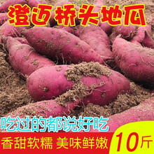 正宗海南澄迈桥头桥沙地瓜沙栗板粟红薯蕃薯红苕番薯10斤净重9斤