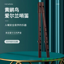 美国进口 黄鹂鸟 哨笛 爱尔兰哨笛 锡笛 初学神器 哨嘴+任意三支管身(一嘴三身)