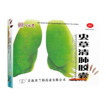 同济堂 虫草清肺胶囊 24粒 润肺补气 清肺化痰平喘 慢性支气管炎 咳嗽痰多 【4天用量】虫草清肺胶囊 24粒