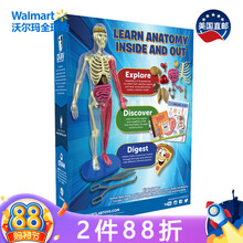 美国直邮 SmartLab 人体解剖模型 多色 8岁以上