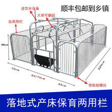OENY 简易产床落地式双体产床定位栏限位栏单个猪位栏位养猪设备耐用 2.0落地式产保一体两用（发到乡镇）