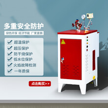 电锅炉服装熨烫蒸煮全自动商用家用小型电加热蒸汽发生器标努 6/12 KW/380V