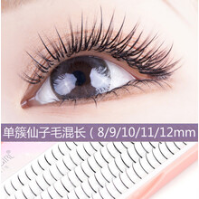 Y 假睫毛自然款混合长度8/9/10/11/12仙子单簇5排混装A型仙女朵毛嫁接睫毛M型单根嫁接睫毛 单根仙子毛5排混装