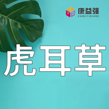 康益强 清热类2 清热泻火凉血解热毒退虚热兼能燥湿利湿滋阴发表中药饮片中药材道地药材干净无杂无硫熏 虎耳草 祛风清热凉血解毒 100g