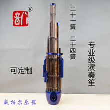 专业演奏21簧24簧26簧笙初学儿童笙彩色可定制厂家直发 21簧专业成人笙D 调