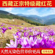 伟博 藏红花西藏野外生官方旗舰伊朗西红花番臧红花泡水喝女 特级5克精品装