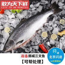 13斤1条 整条冷冻三文鱼 智利进口 新鲜刺身 可分割 切鱼排